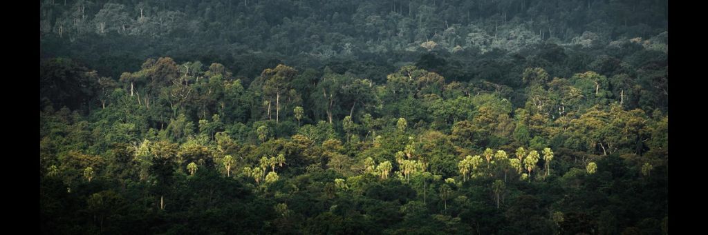 Sustainable Environmental Practices